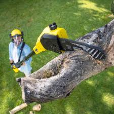 Best Artificial Turf Installation  in Sage, CA