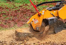 How Our Tree Care Process Works  in  Sage, CA