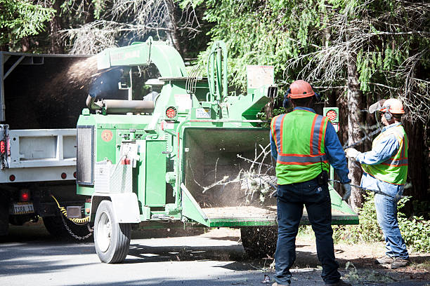 Best Weed Control  in Sage, CA