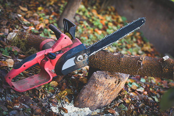 Best Hazardous Tree Removal  in Sage, CA